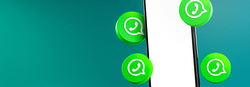 Gas Refrigeranti 24 - Shop Online