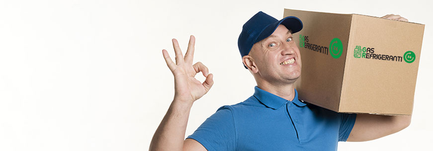 Gas Refrigeranti 24 - Shop Online